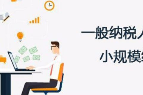 拉薩的一般納稅人和小規(guī)模納稅人納稅方式以及認定資格是什么？同內地企業(yè)有區(qū)別嗎？