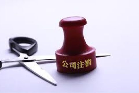 拉薩注銷一個公司，需要去幾個部門？整體時間需要多久？大概流程是怎樣的？