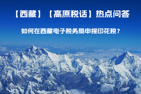 如何在西藏自治區(qū)電子稅務(wù)局申報印花稅？