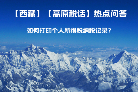 如何打印個人所得稅納稅記錄？