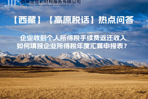 企業(yè)收到個人所得稅手續(xù)費返還收入，如何填報企業(yè)所得稅年度匯算申報表？